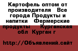 Картофель оптом от производителя - Все города Продукты и напитки » Фермерские продукты   . Курганская обл.,Курган г.